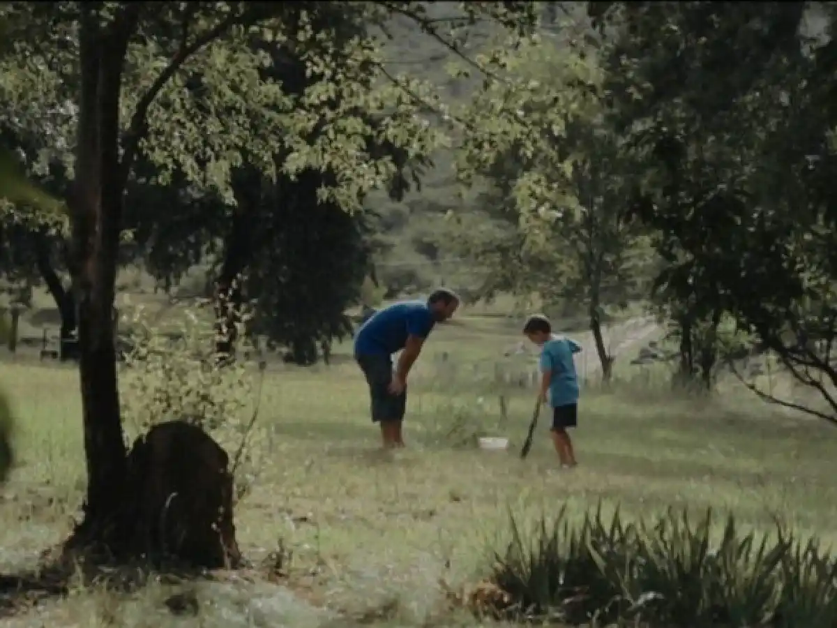La curiosidad mató a Pandora 