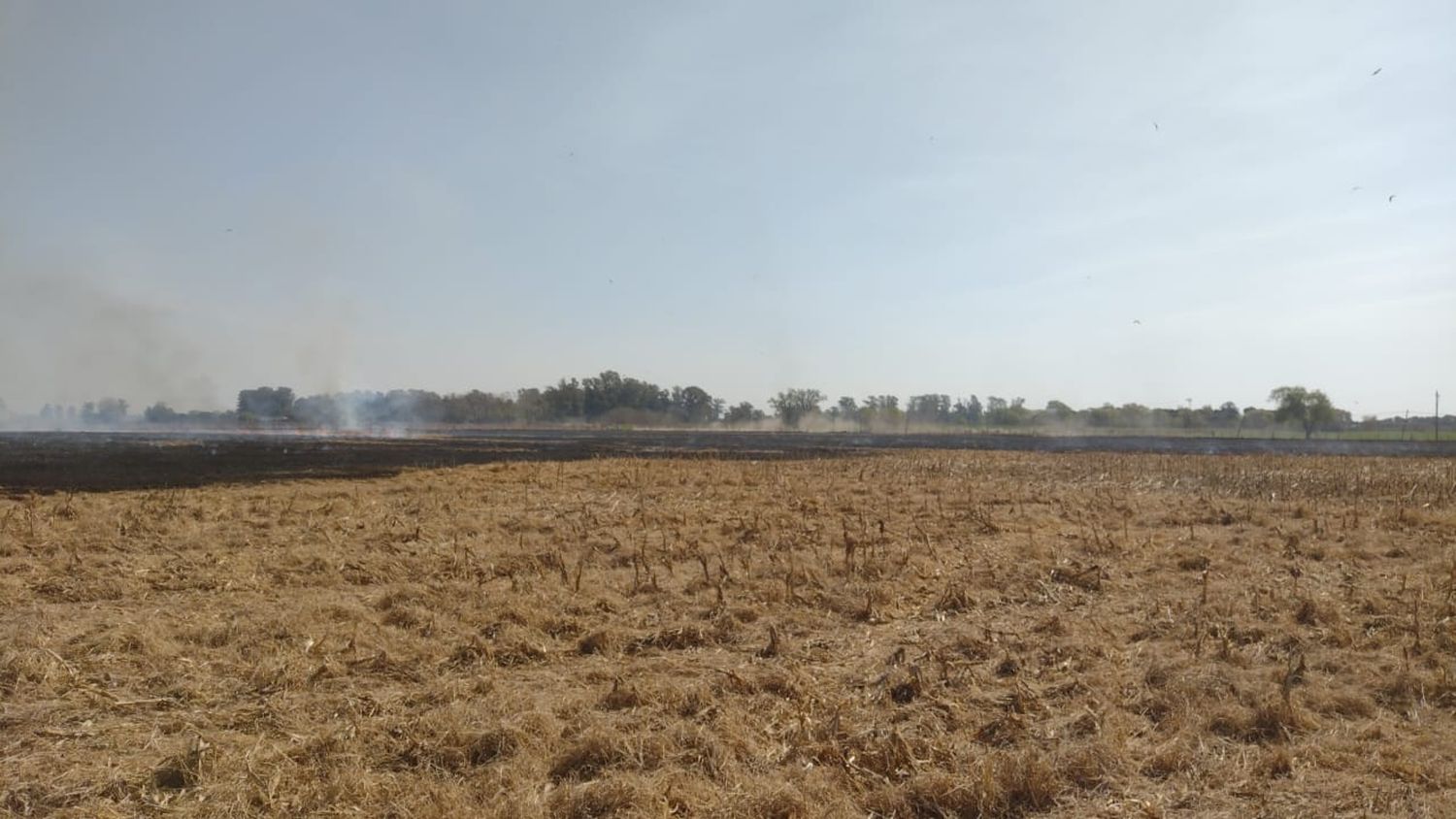 Bomberos de Venado asistieron, en promedio, a un incendio por hora en la tarde de este miércoles