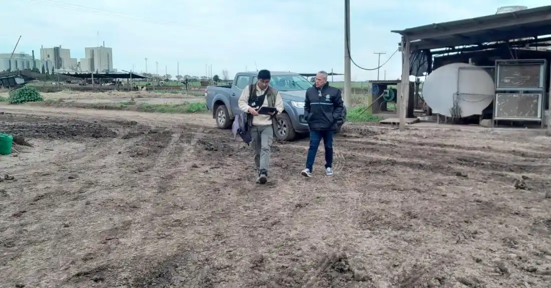 Detectaron graves irregularidades laborales en tres tambos con 16 trabajadores no registrados