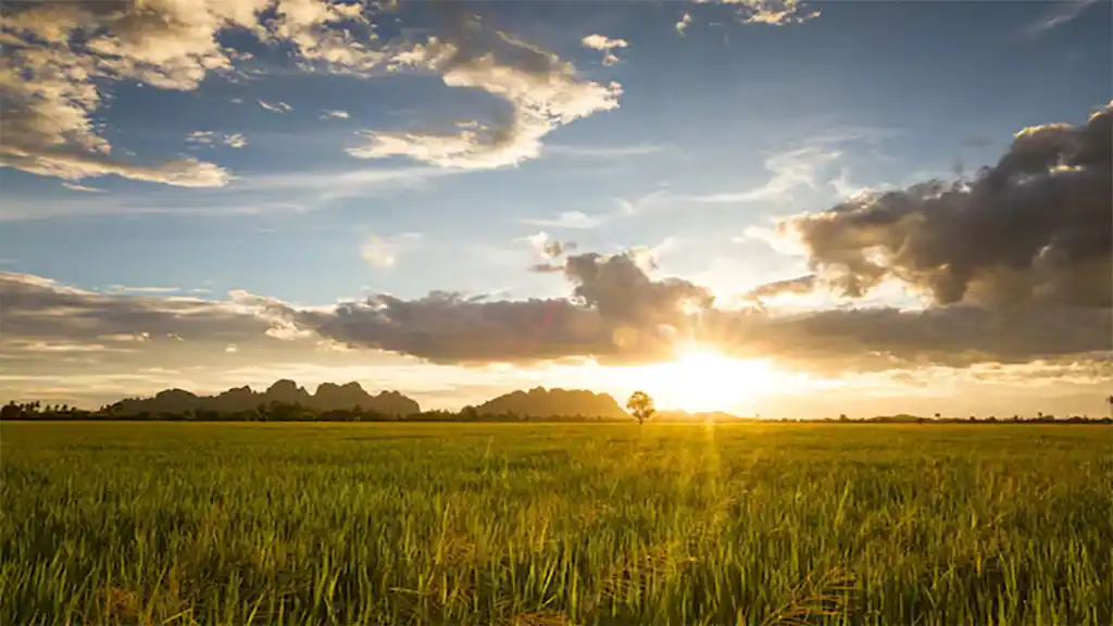 El sudoeste seduce a los inversores que buscan tierras productivas
