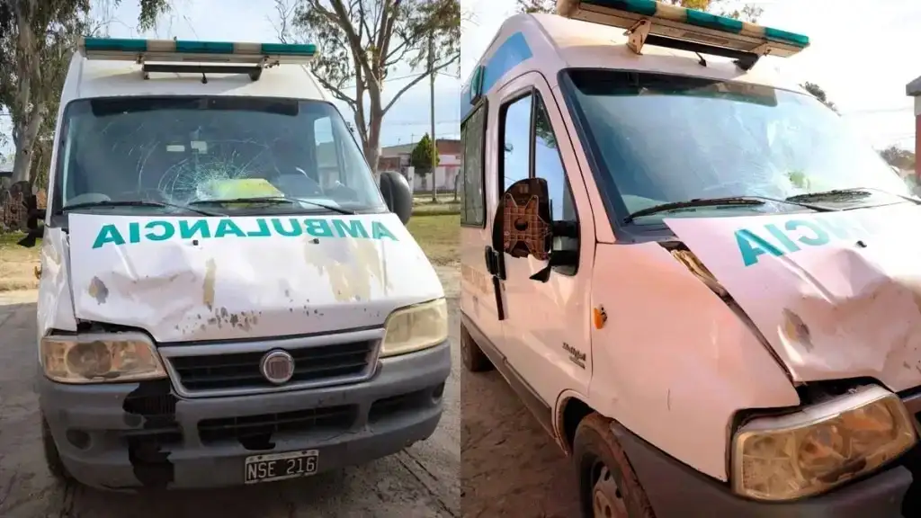 Una ambulancia chocó un caballo en la ruta y el Intendente pidió tolerancia cero con los dueños
