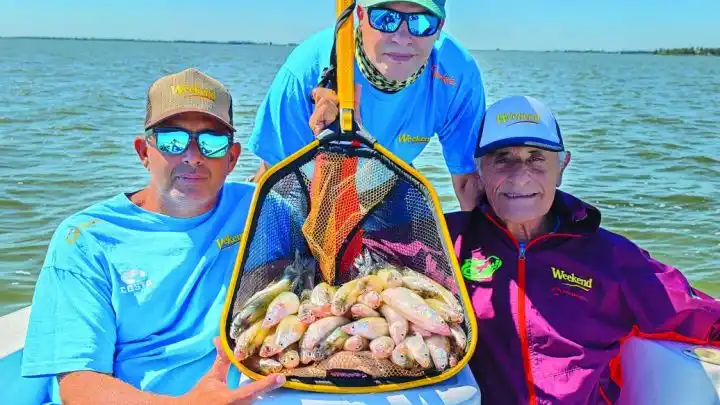 Vuelve el pejerrey a la laguna de Chascomús y renace el interés de pescadores y turistas