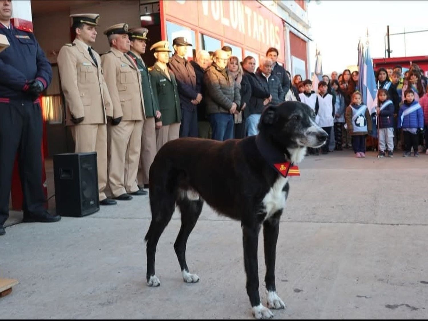 Holmatro, el perro con alma de bombero que ya es mascota del cuartel de San Pedro