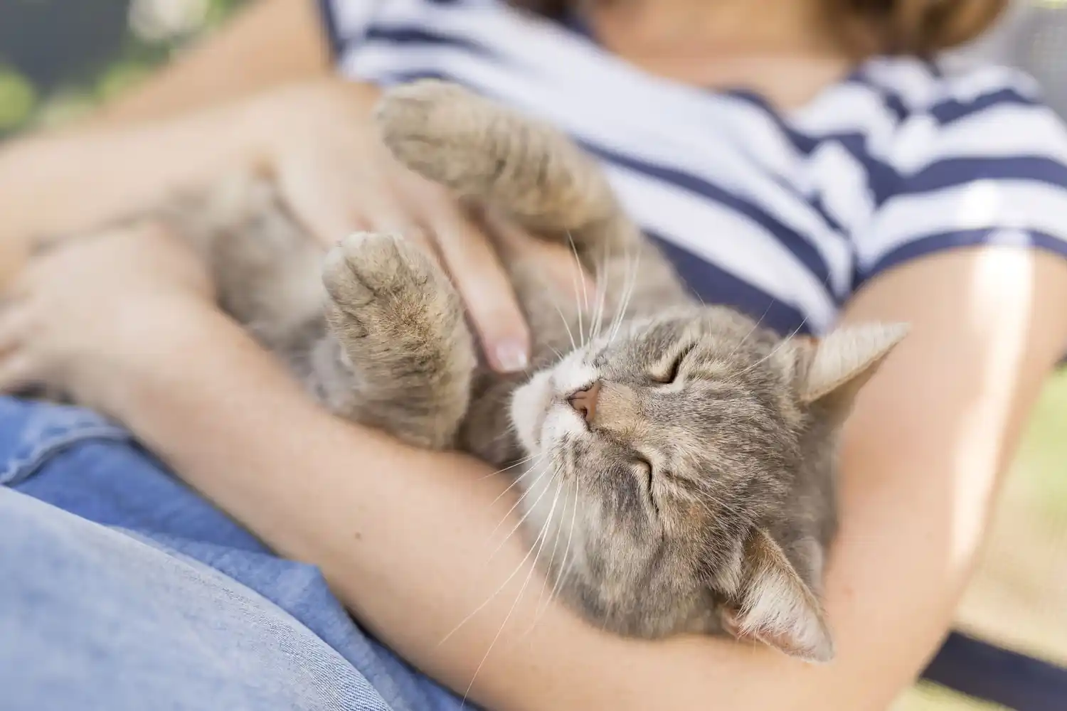 gatos durmiendo sobre personas - 3