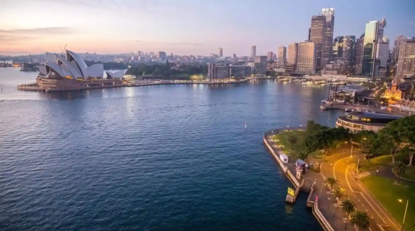 Hallaron una extraña criatura en Australia: ¿Es un alien?