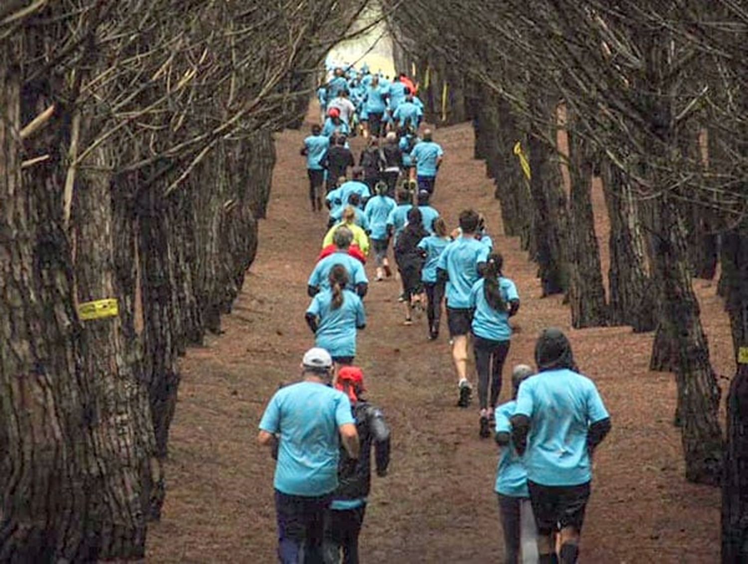 “Desafío Nimbus", carrera de aventuras se corre en noviembre