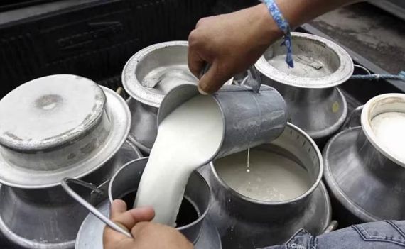 El consumo de productos lácteos cayó un 17,3% en el primer semestre del año