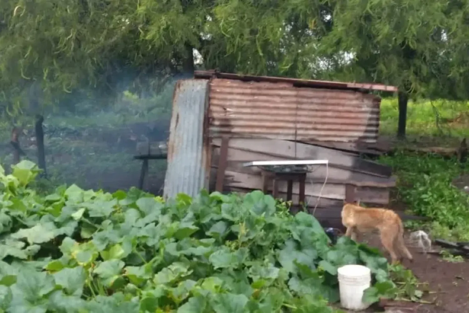 Un hombre lucha por su vida luego de ser rescatado de un incendio en su vivienda