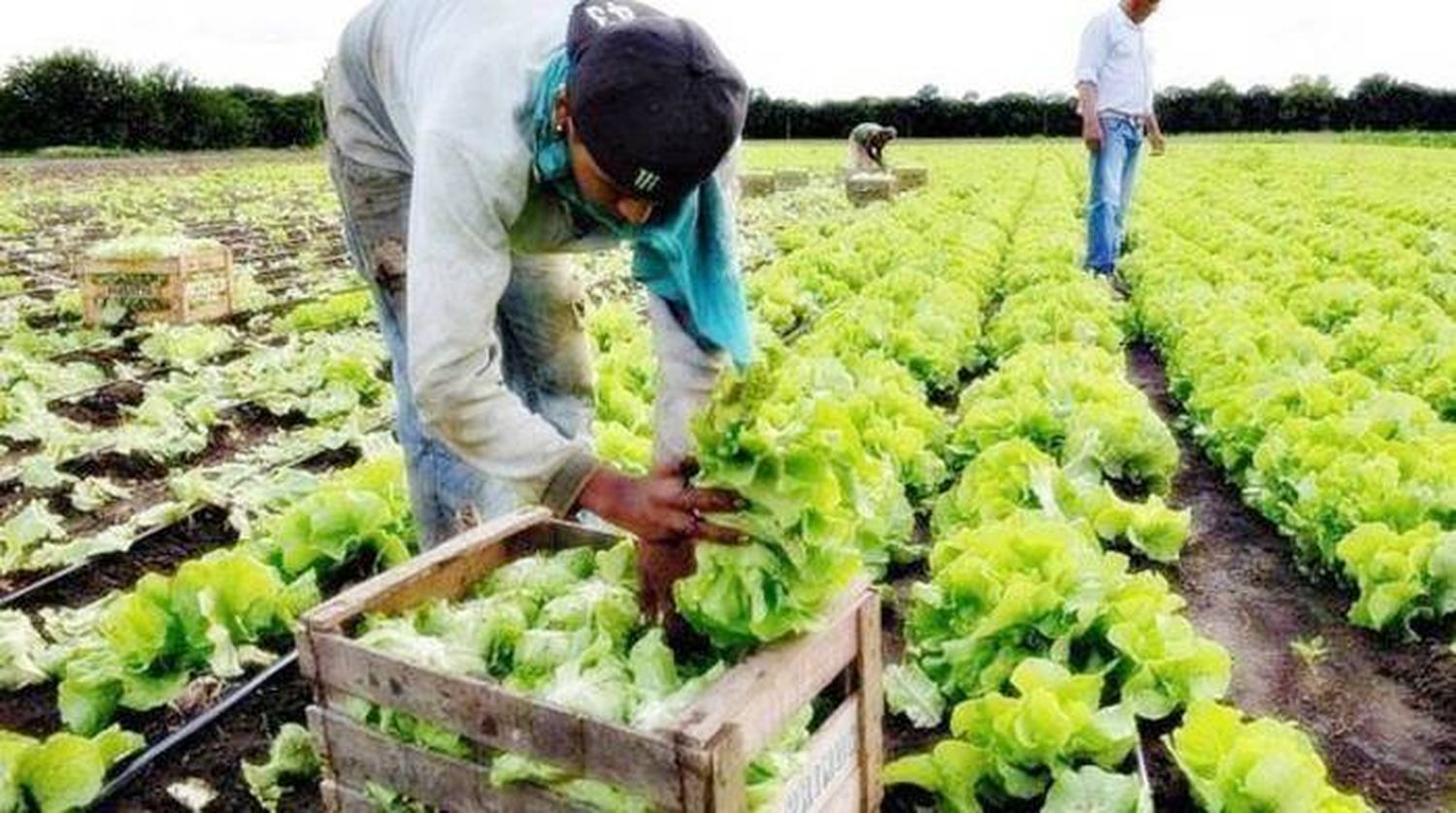 Agricultura Familiar: Alberto Fernández presentó  el plan de inversiones 2020-2021