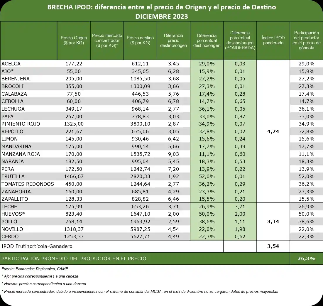 Came informe - 3