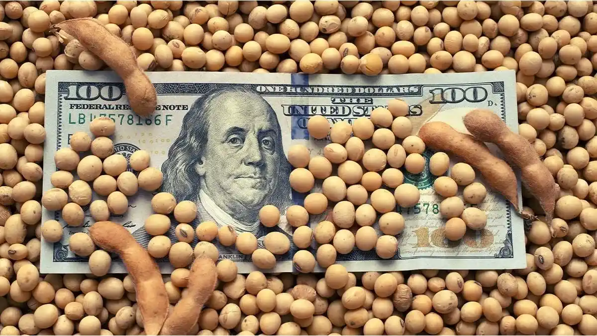 El Gobierno prorrogó hasta el 25 de octubre la vigencia del dólar soja 4