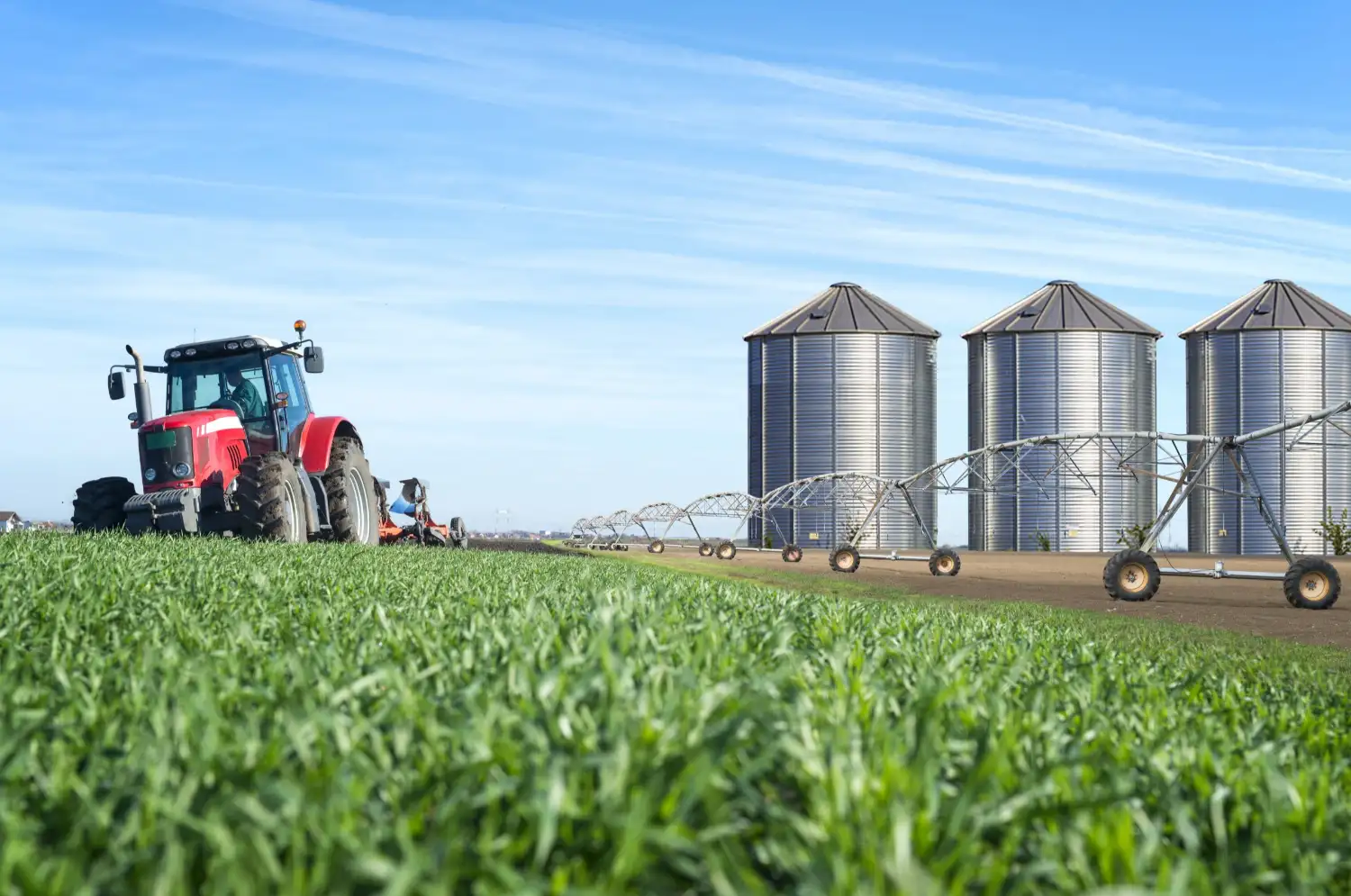 Importancia del complejo agroindustrial