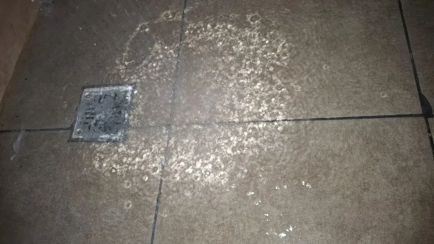 Cloacas rebalsadas en Nieto de Torres 1500