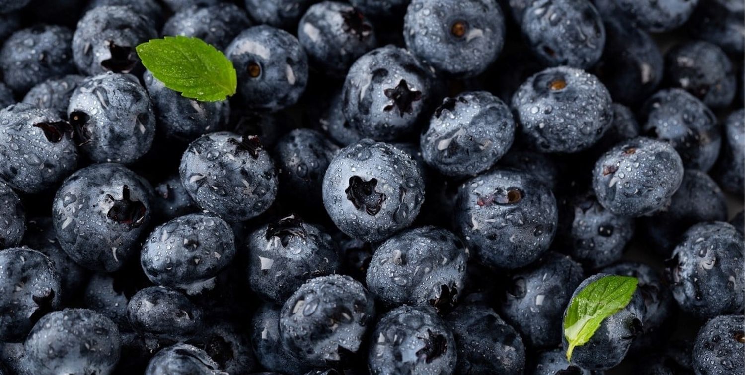 Arándanos: el super-snack aliado de tu memoria y defensas