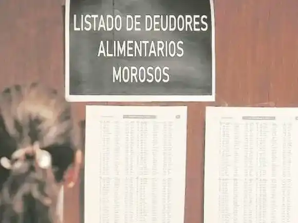 Obtuvo media sanción el proyecto que propone excluir a deudores alimentarios de espectáculos deportivos