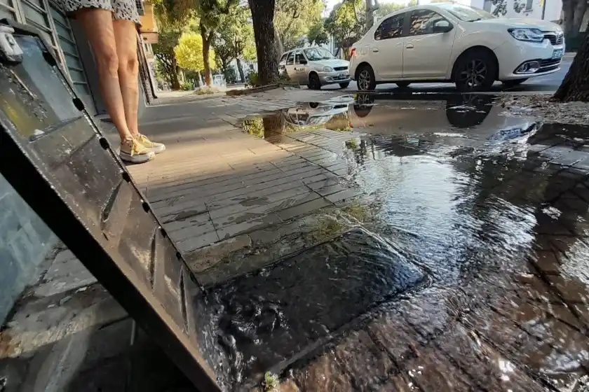 Aguas Santafesinas aseguró que se roban unos 50 medidores por semana en Rosario