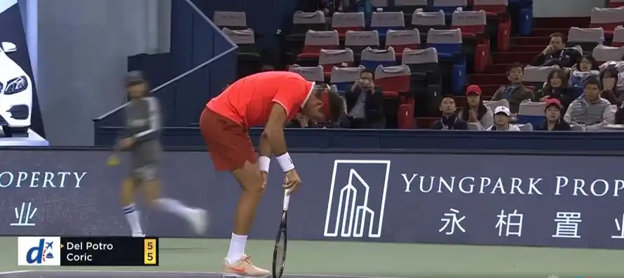 Juan Martín del Potro se retiró del Master de Shanghai