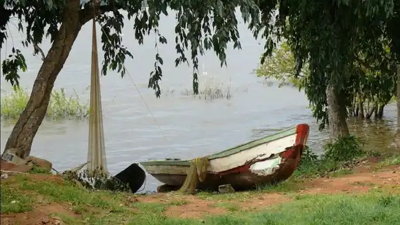 Tras compartir tragos, hombre la mató a golpes a orillas del río Orinoco