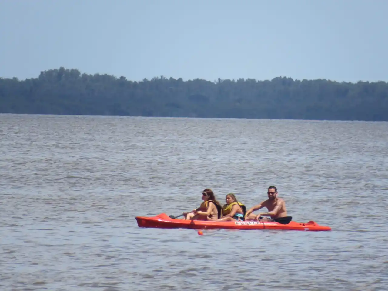 ¿Qué disciplinas deportivas presentaron protocolos?
