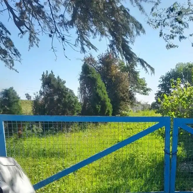 Piden que corten el pasto en la escuela 13
