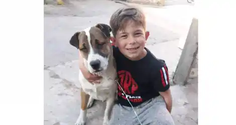 Hace 15 días que lo buscan: necesita su medicación
