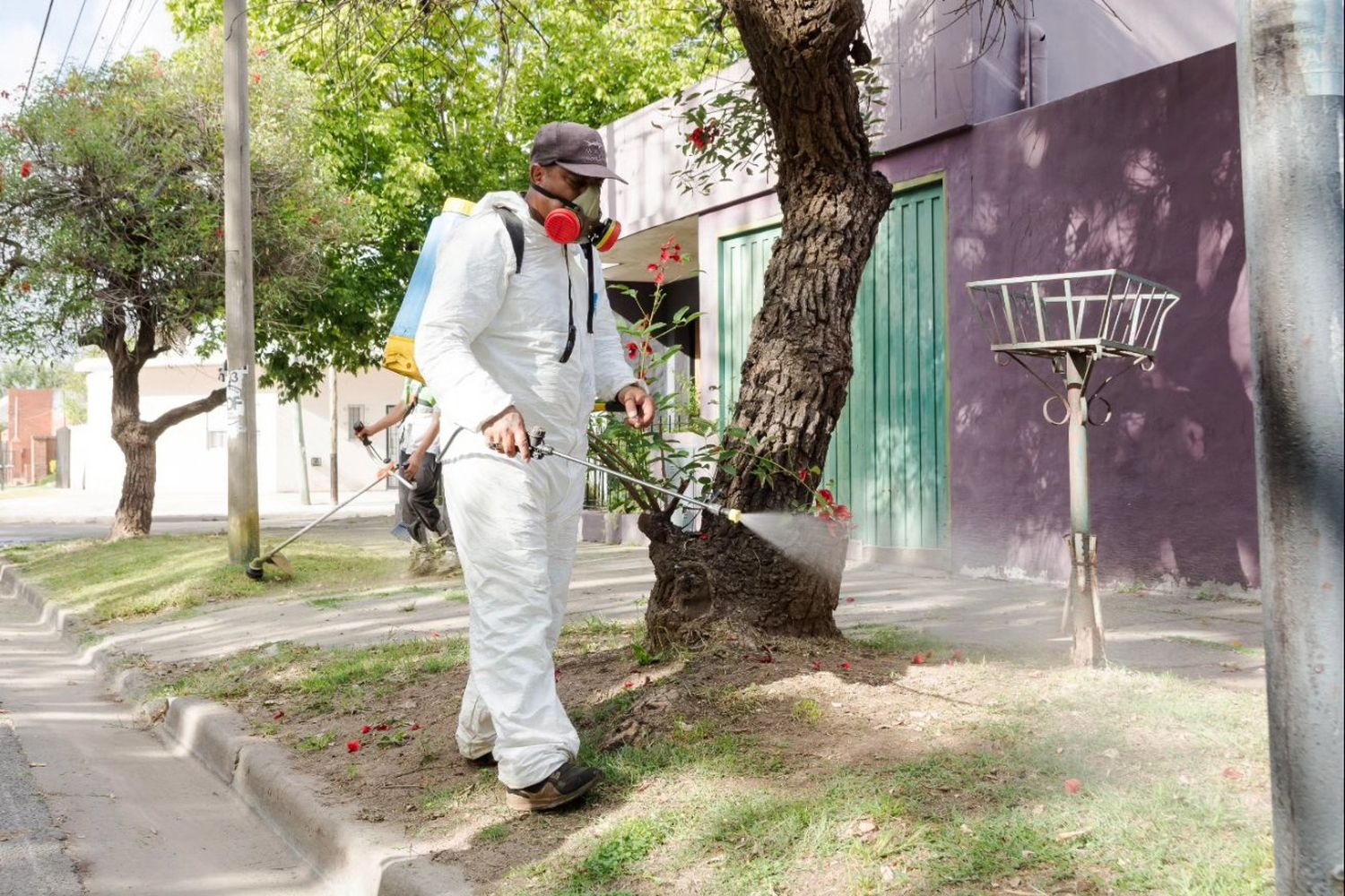 Trabajos de fumigación por el dengue.