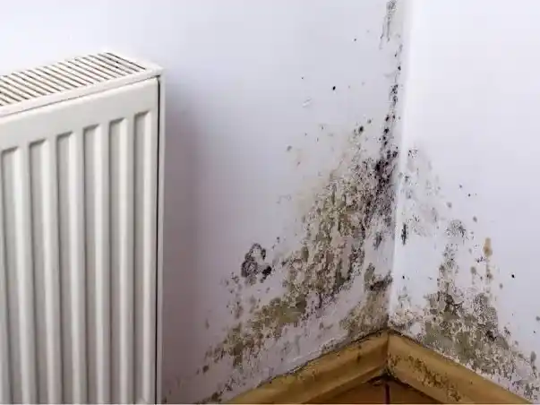 La humedad puede presentarse en pequeñas manchas oscuras en paredes o techos, así como en desprendimientos de pintura, revoque inflado o incluso la formación de moho.