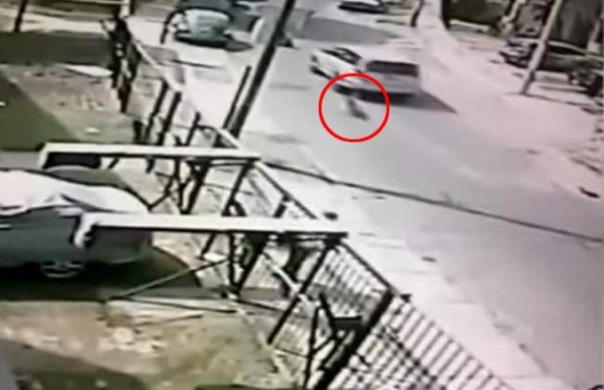 Bombero ató a su perro al auto y lo arrastró por la calle