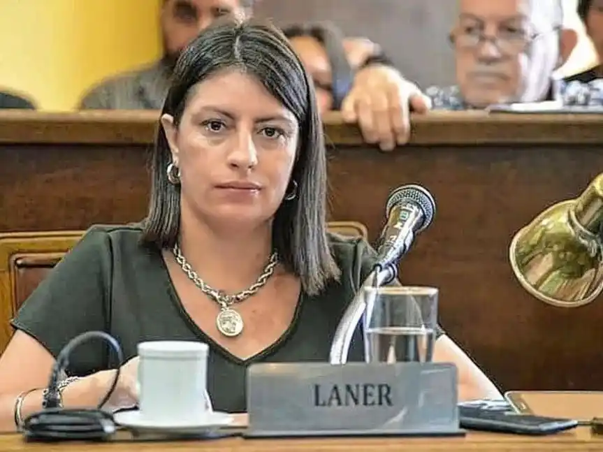 Laner responsabilizó al peronismo por el fracaso del juicio político a Susana Medina