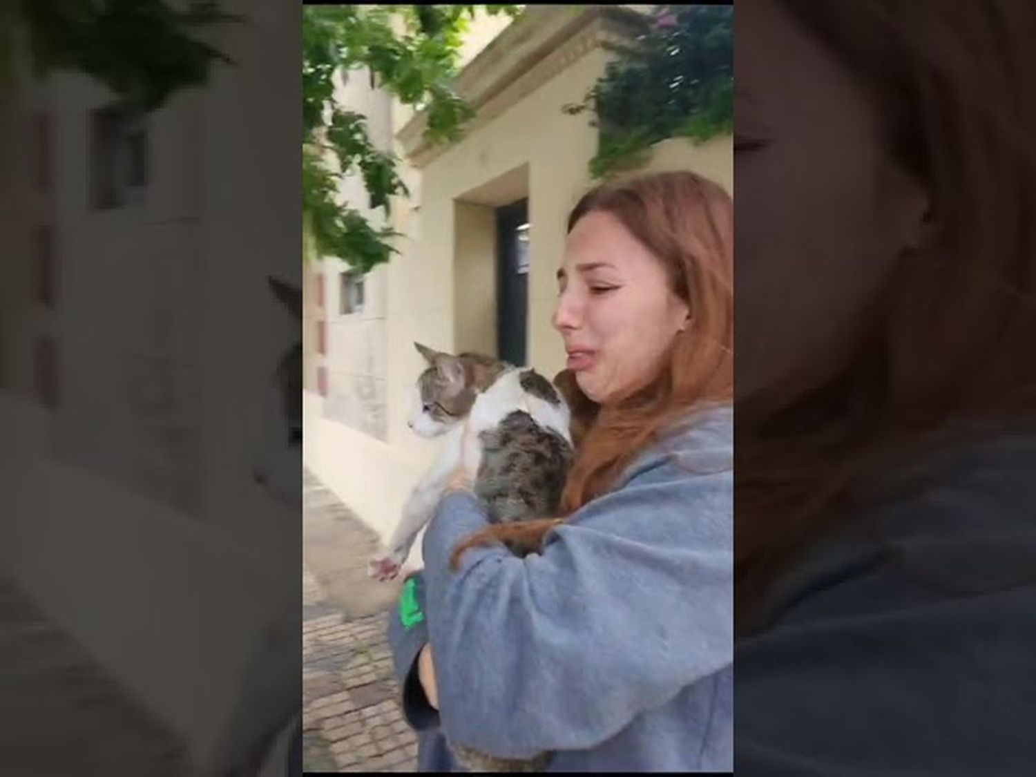 Apareció Simón, el gato travieso