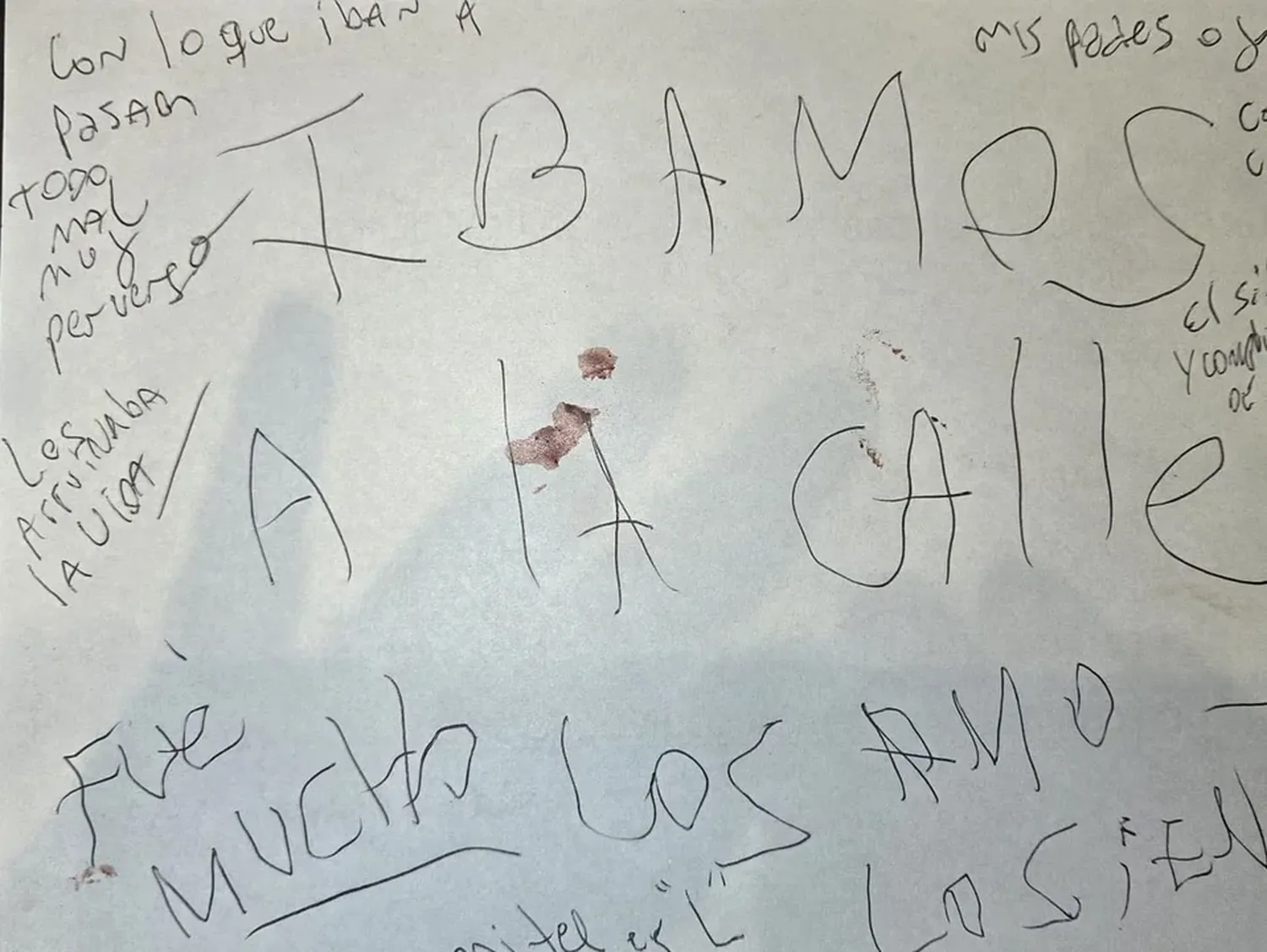 Masacre de Villa Crespo: confirmaron que la carta fue escrita por la madre que mató a su familia