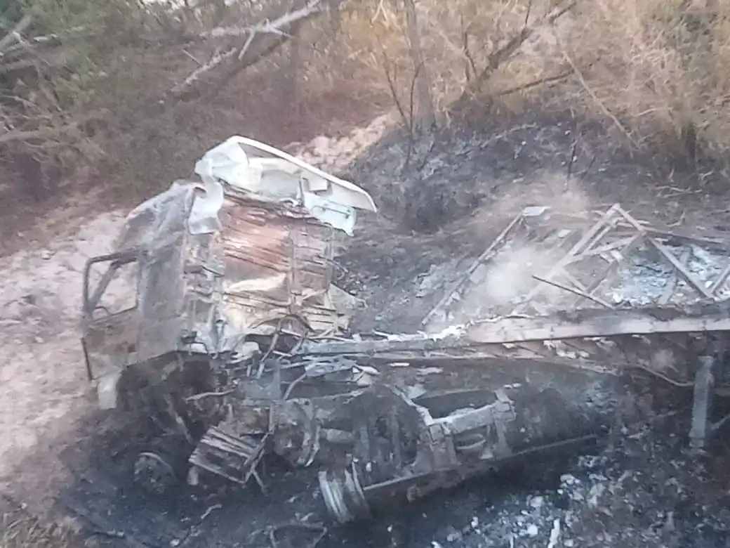 Un camión cayó de un puente y se prendió fuego: El conductor sufrió quemaduras