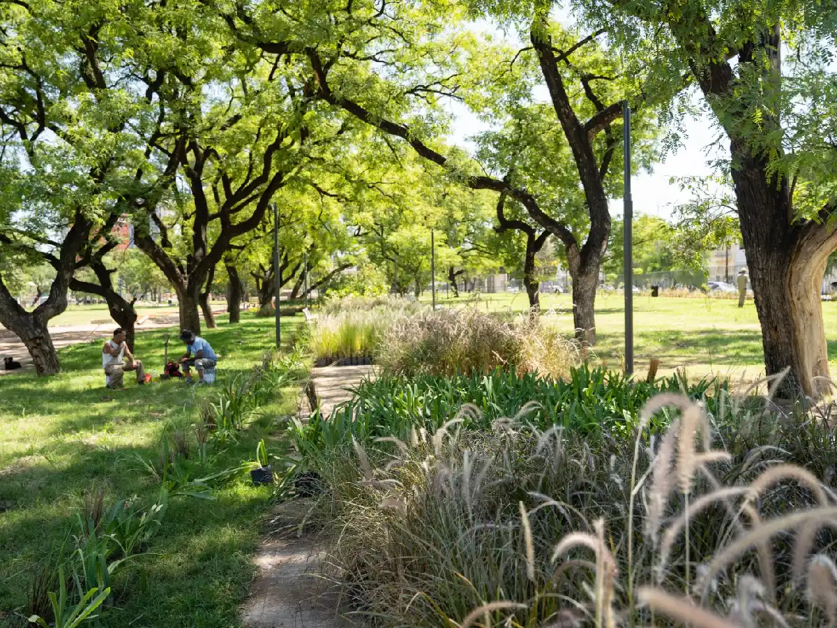 Córdoba de Córdoba: el Parque las Heras-Elisa sumó más de 30 mil árboles y arbustivas