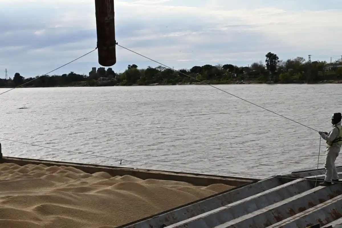 El principal destino de las exportaciones con origen en Santa Fe fue India