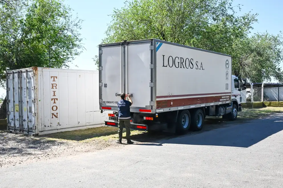 exportación carne