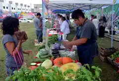 Este viernes el Mercado Alimenticio Barrial estará en La Movediza