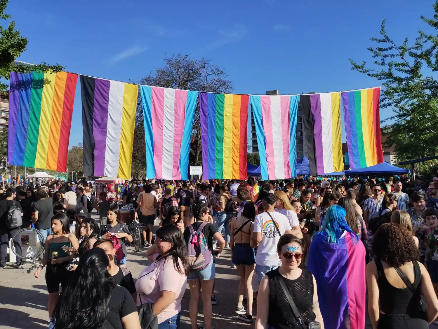 La multitudinaria Marcha del Orgullo volvió a las calles de Rosario