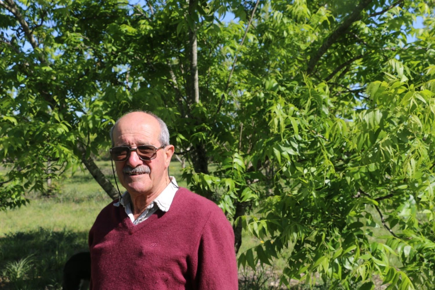Crisis en el sector agropecuario: productores se quejan por la alta carga impositiva