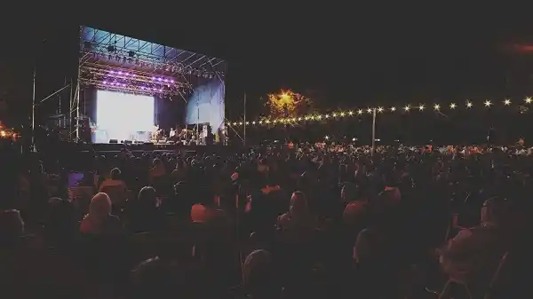 Convocan a artistas a sumarse a la Pre Fiesta del Pescado y el Vino