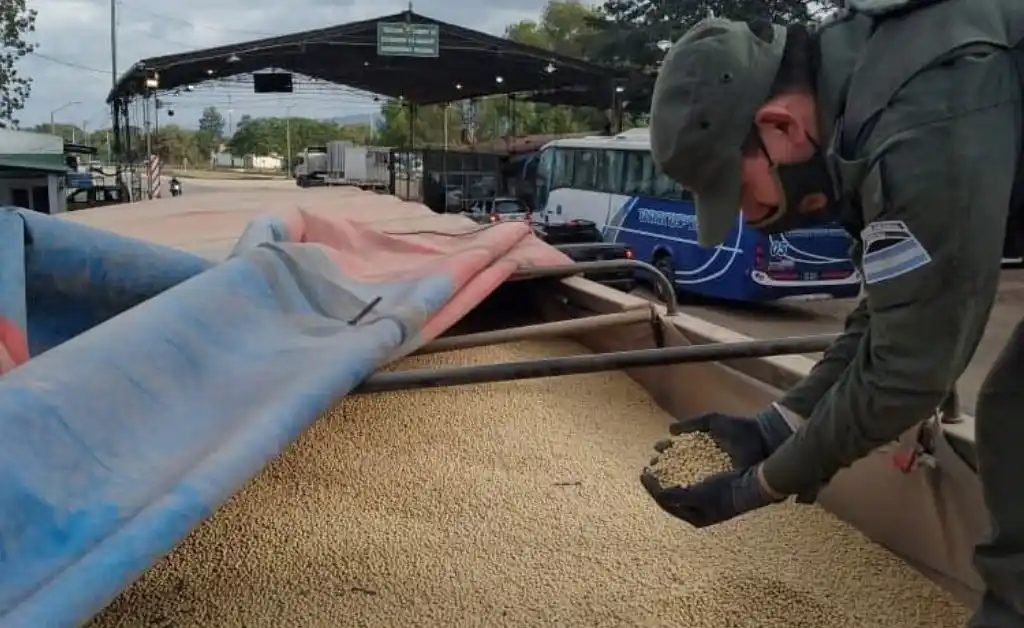 Secuestran 210 toneladas de soja que llevaban desde Santa Fe hacia Salta