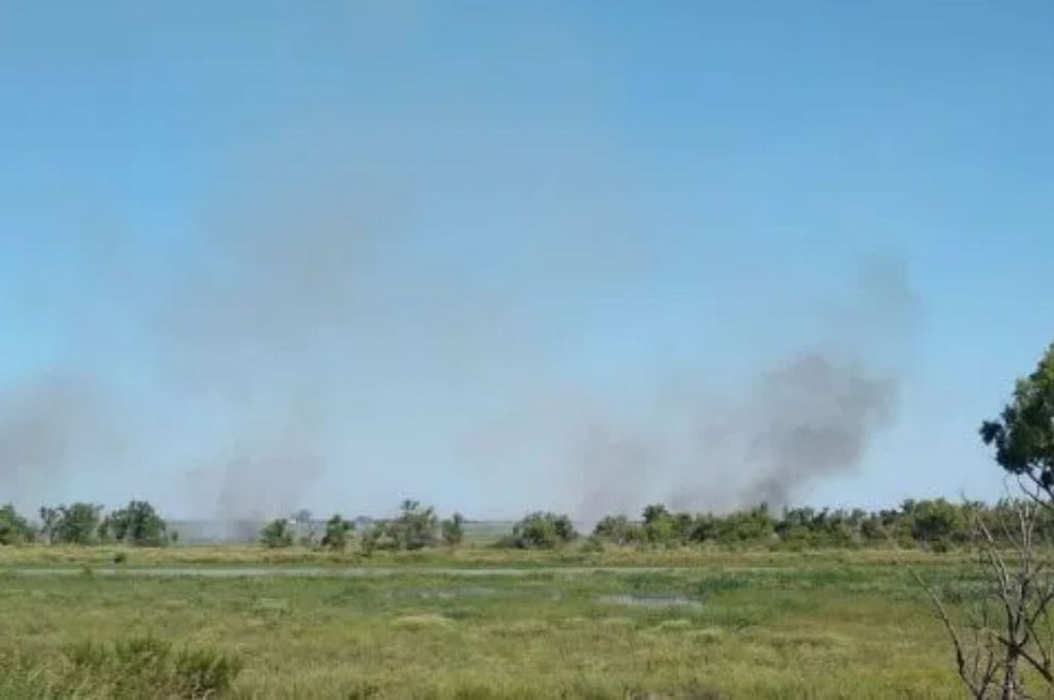 Tras varios días sin quemas, volvieron a verse columnas de humo en la islas