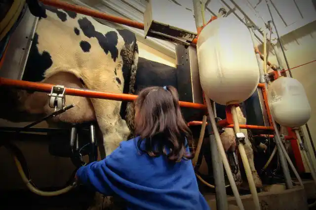 Tamberos federados respaldan compensaciones al sector