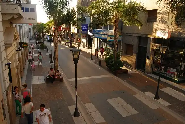 En la semipeatonal “lo único que creció son las palmeras”