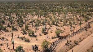La llamada de AUXILIO que colombiana hace antes de fallecer en desierto de Arizona