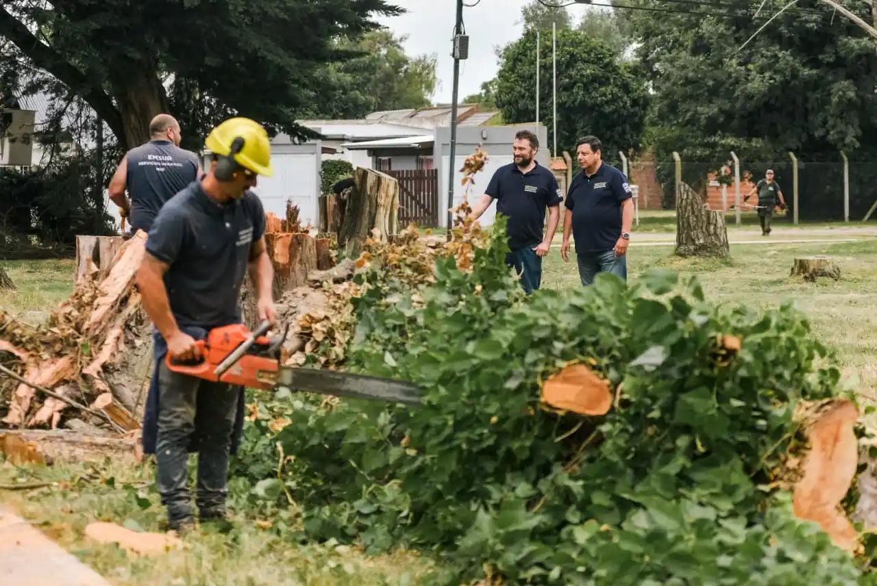 La Plaza Scarpati fue renovada con trabajos de poda, saneamiento y reparación de juegos
