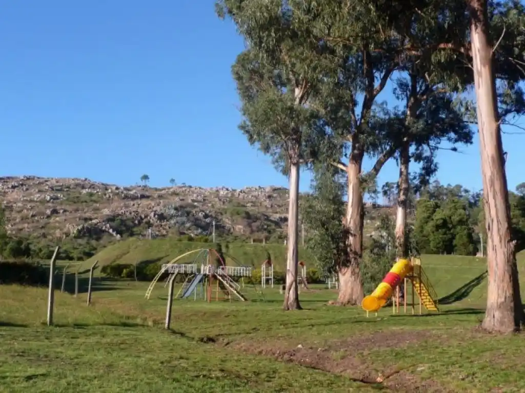 El Municipio llamó a licitación para tareas de desmalezamiento en espacios públicos: 91 millones de pesos