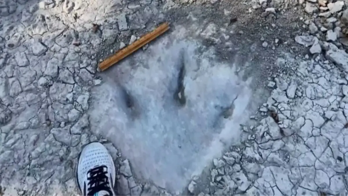 EN DALLAS: Sequía dejó al descubierto las huellas de un dinosaurio de 113 millones de años