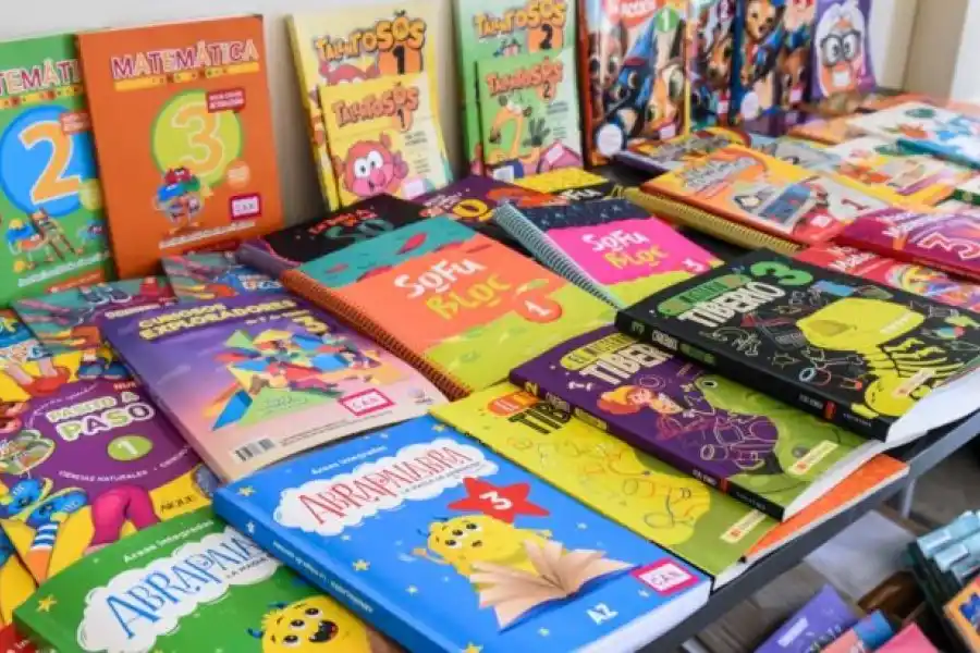 El Gobierno no realizará la compra nacional de libros escolares previstos para este año