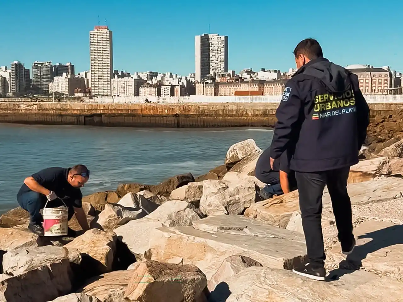 Las tareas se desarrollaron en sectores aledaños al Torreón del Monje, la zona de artesanos y el Paseo Dávila.