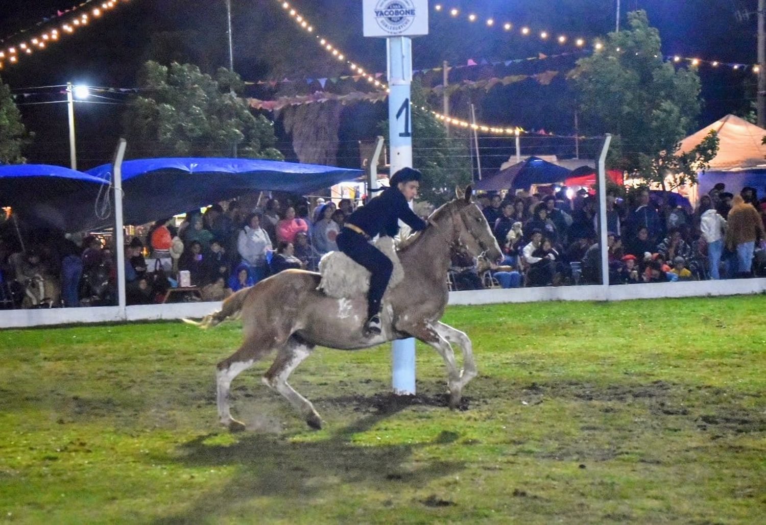 Con un gran espectáculo de jineteadas y destrezas criollas se cerró la Fiesta de las Costumbres Argentinas